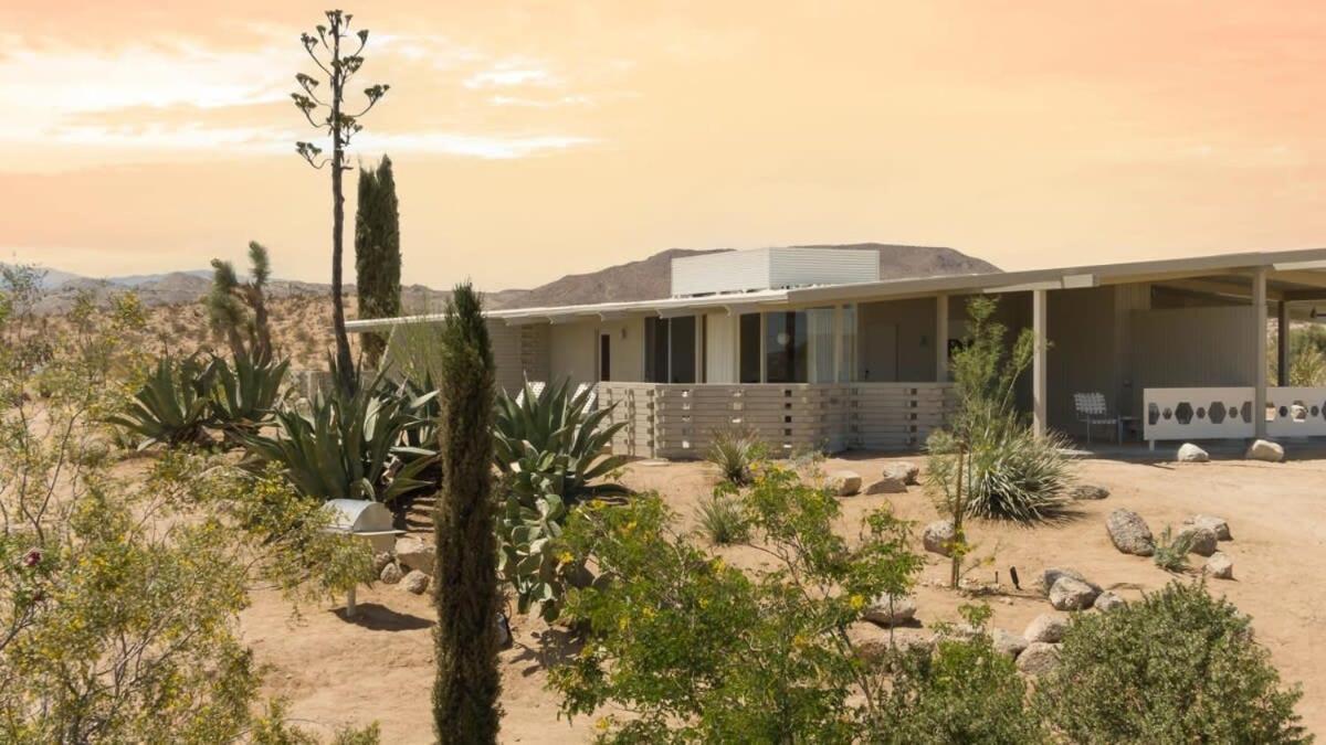 The Bungalows By Homestead Modern Joshua Tree Extérieur photo