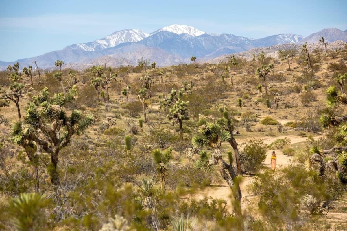 The Bungalows By Homestead Modern Joshua Tree Extérieur photo