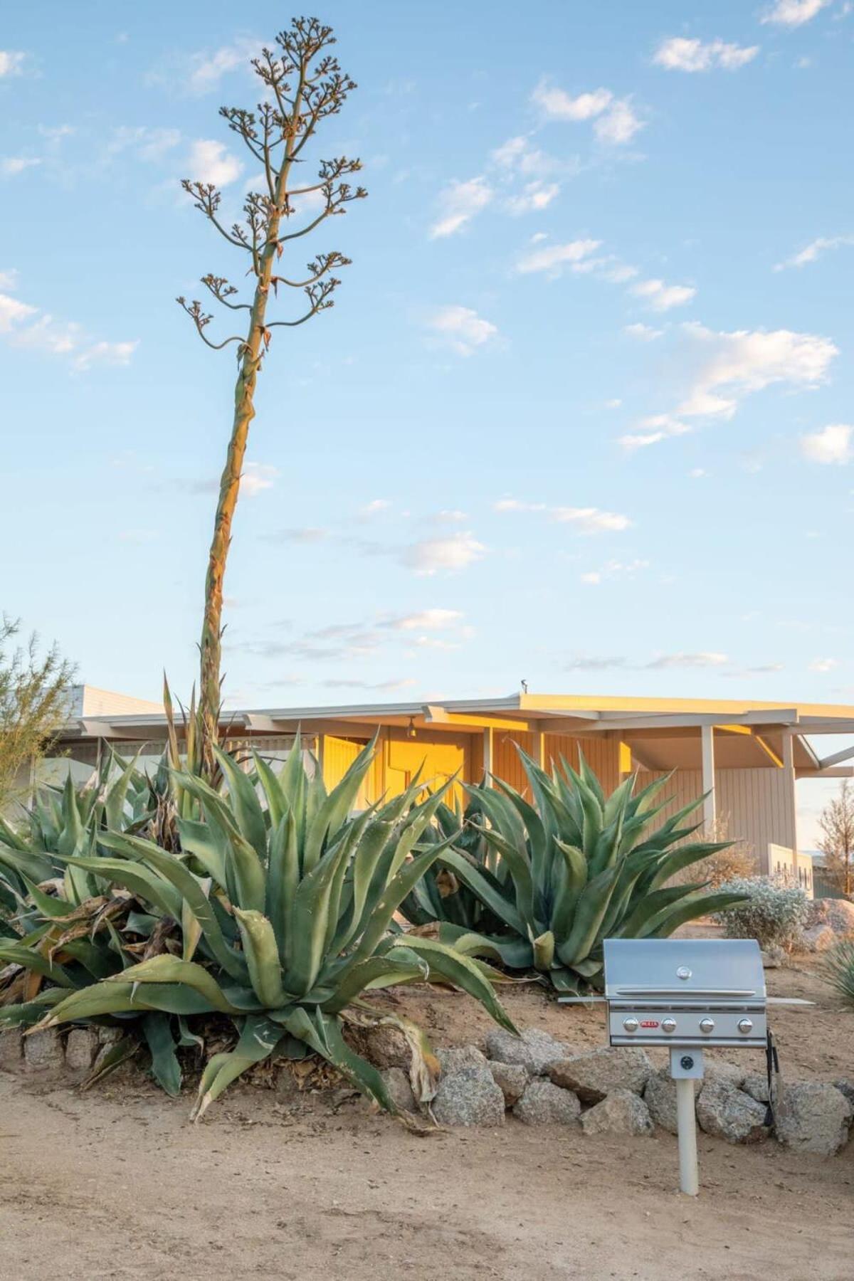 The Bungalows By Homestead Modern Joshua Tree Extérieur photo